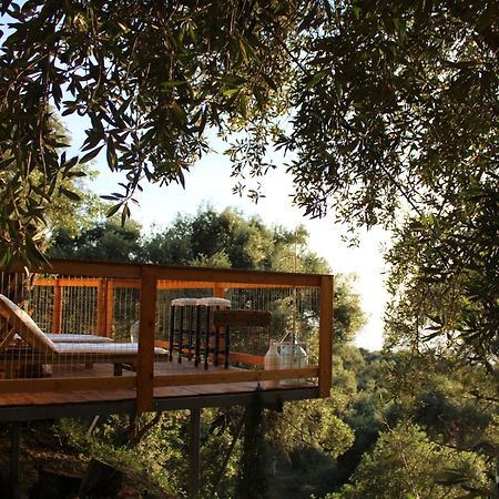 Nature Habitat Pentátion Dış mekan fotoğraf