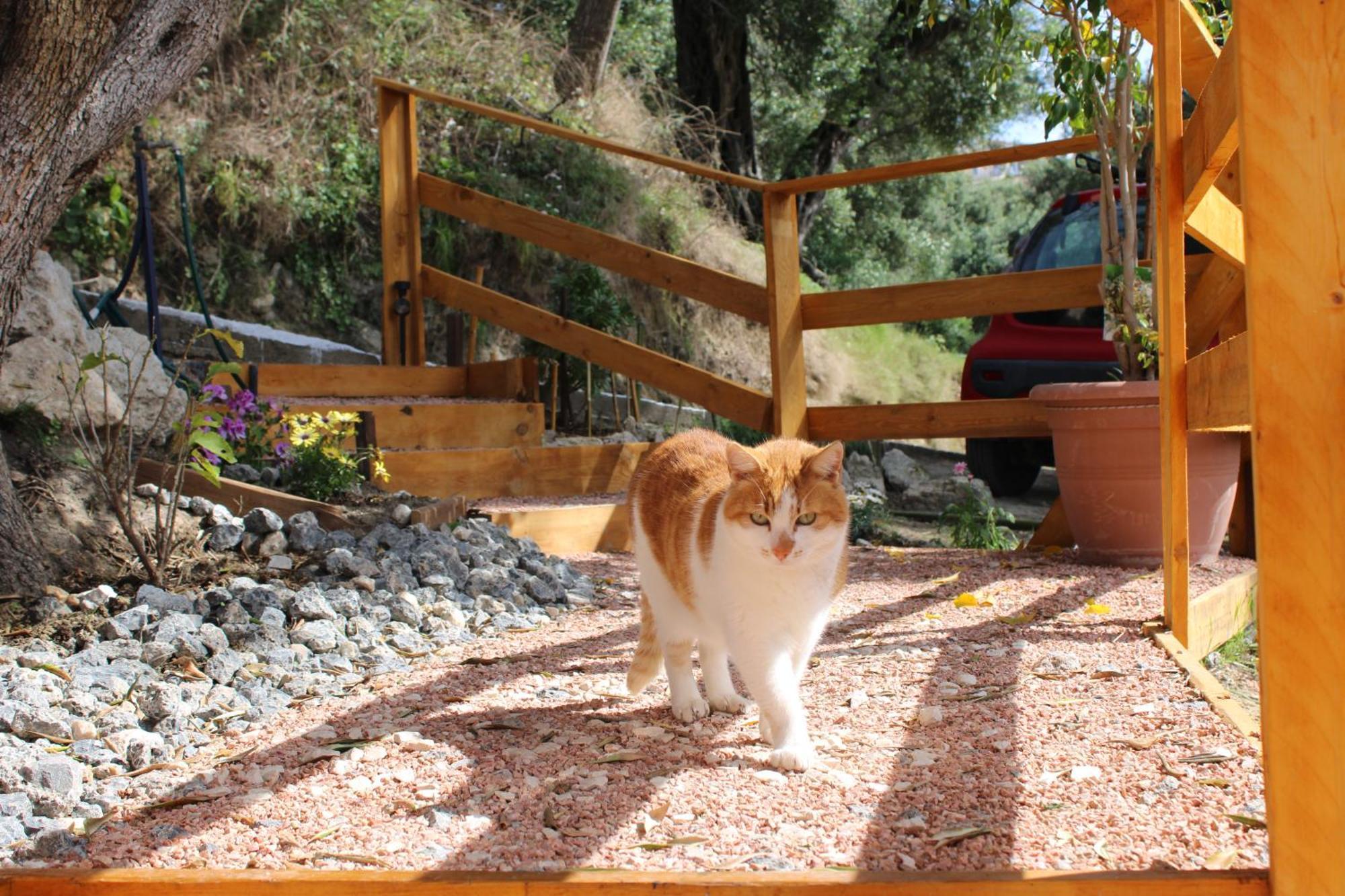 Nature Habitat Pentátion Dış mekan fotoğraf